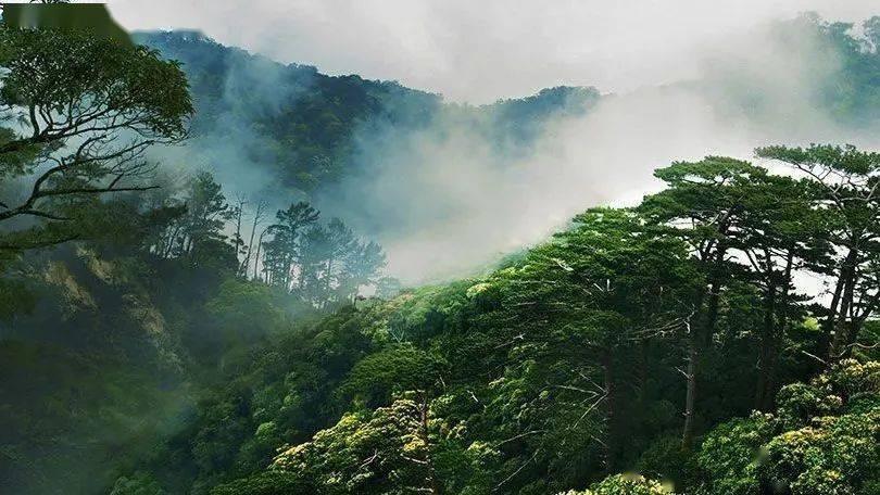 植物大战僵尸21