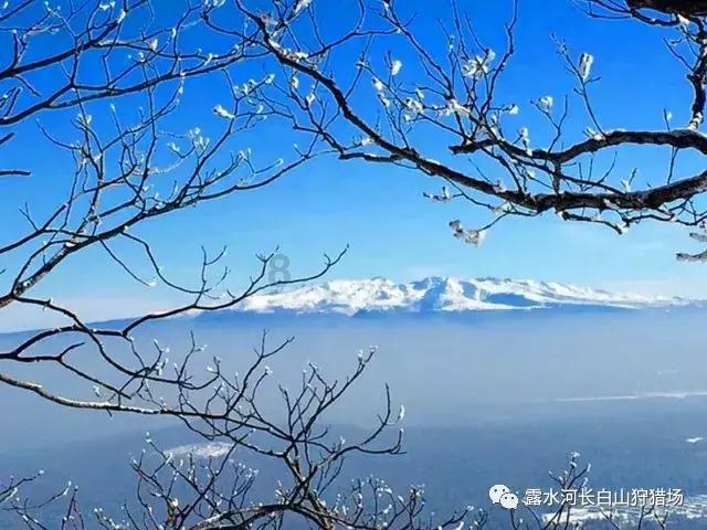 星球探险家