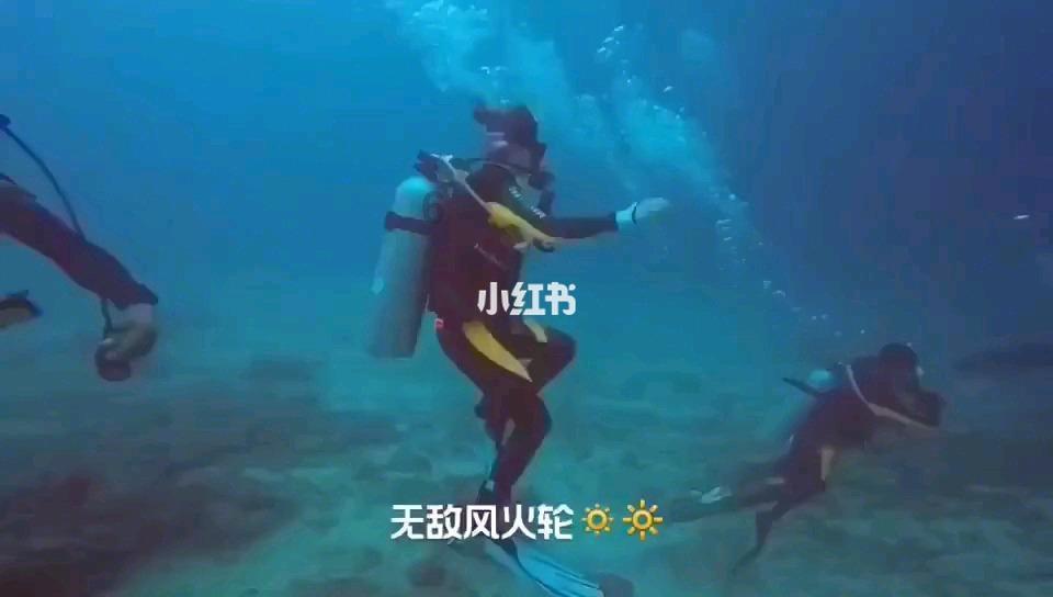 救援顽皮小猴